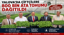 Yalova'da Çiftçilere 800 Bin Ata Tohumu Fidesi Dağıtıldı